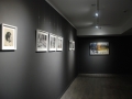 ws-image-exhibition-shot-1