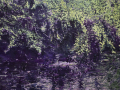 Bittersweet-152cm-x-183cm-x-5cm-oil-on-canvas-AW