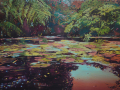 pond-heligan-ws