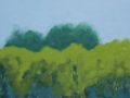 Spying trees, Summer, 2007