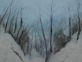 Walkway, snow on trees