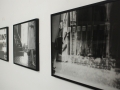 Elsewhere Exhibition