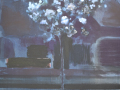 Tree Study