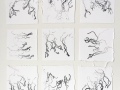 frayed edge studies